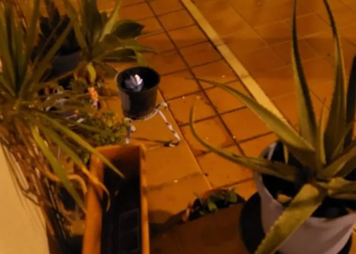 Appartement Bajo Coqueto