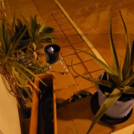 Apartamento Bajo Coqueto